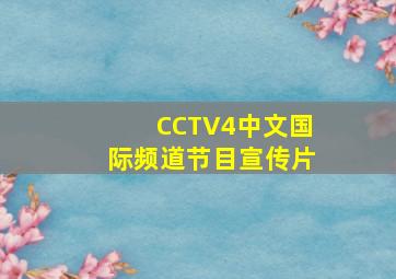 CCTV4中文国际频道节目宣传片