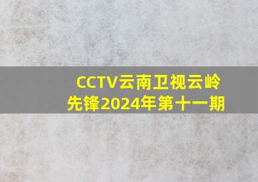 CCTV云南卫视云岭先锋2024年第十一期