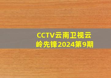 CCTV云南卫视云岭先锋2024第9期