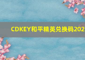 CDKEY和平精英兑换码2023