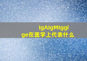 IgAIgMIggige在医学上代表什么