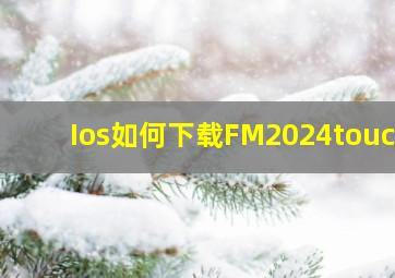 Ios如何下载FM2024touch