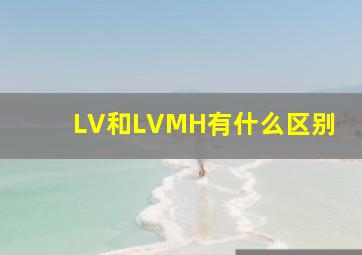 LV和LVMH有什么区别