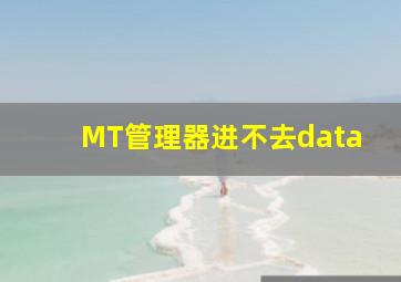 MT管理器进不去data