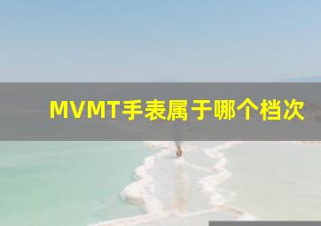 MVMT手表属于哪个档次