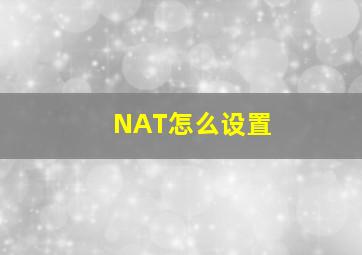 NAT怎么设置