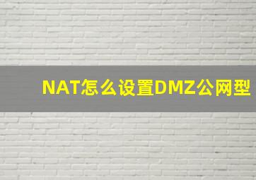 NAT怎么设置DMZ公网型