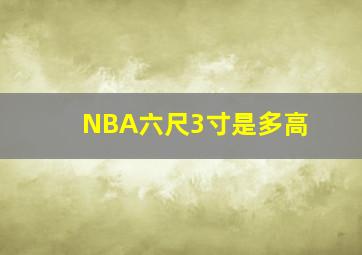 NBA六尺3寸是多高