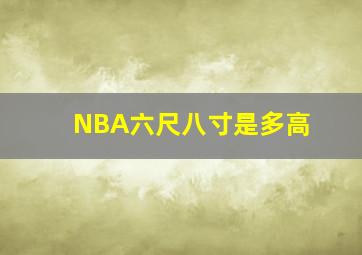 NBA六尺八寸是多高