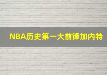 NBA历史第一大前锋加内特