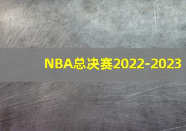 NBA总决赛2022-2023