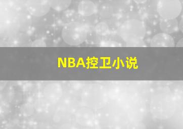 NBA控卫小说