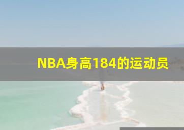 NBA身高184的运动员