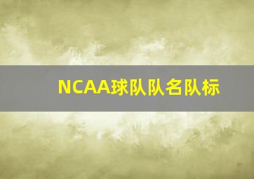 NCAA球队队名队标