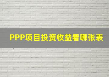 PPP项目投资收益看哪张表