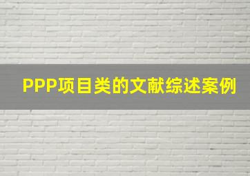 PPP项目类的文献综述案例