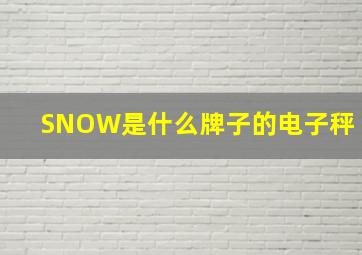 SNOW是什么牌子的电子秤