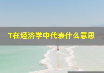 T在经济学中代表什么意思