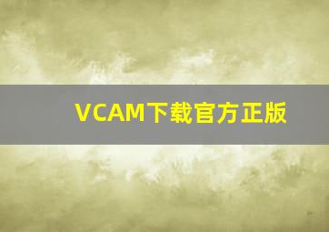 VCAM下载官方正版