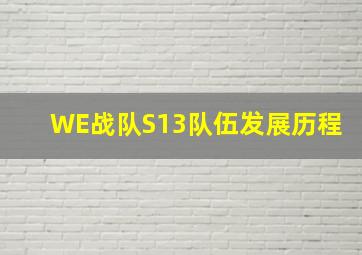 WE战队S13队伍发展历程