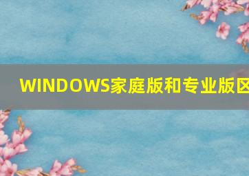 WINDOWS家庭版和专业版区别