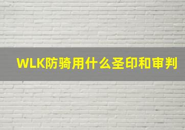 WLK防骑用什么圣印和审判