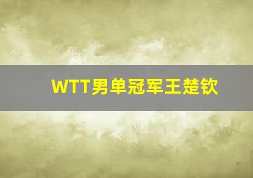 WTT男单冠军王楚钦