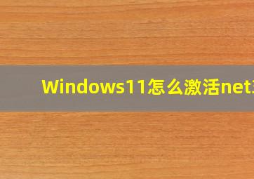 Windows11怎么激活net3.5