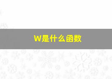 W是什么函数