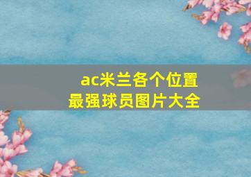 ac米兰各个位置最强球员图片大全