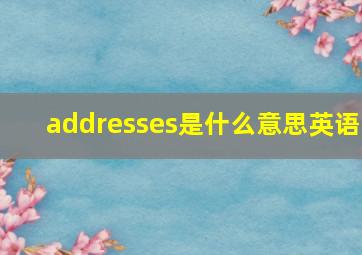 addresses是什么意思英语