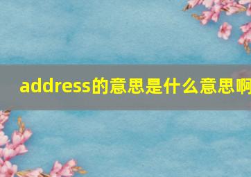 address的意思是什么意思啊