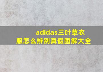 adidas三叶草衣服怎么辨别真假图解大全