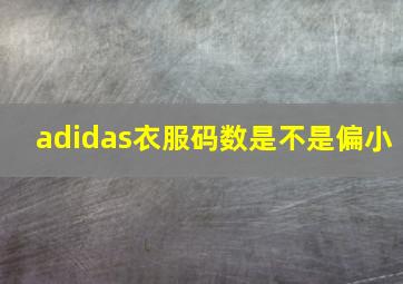 adidas衣服码数是不是偏小