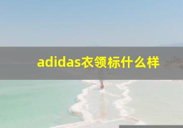 adidas衣领标什么样