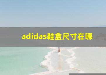 adidas鞋盒尺寸在哪