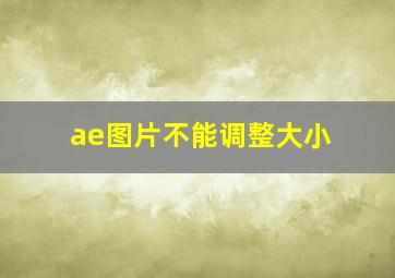 ae图片不能调整大小