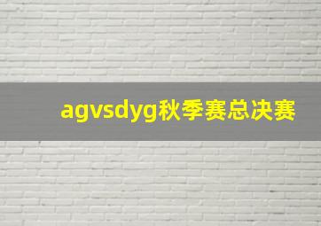 agvsdyg秋季赛总决赛