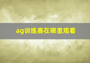 ag训练赛在哪里观看