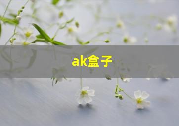 ak盒子