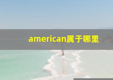 american属于哪里