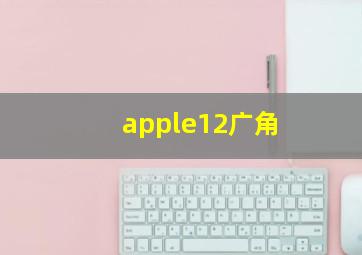 apple12广角