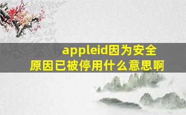 appleid因为安全原因已被停用什么意思啊