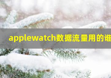 applewatch数据流量用的谁的