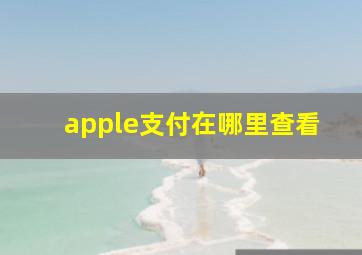 apple支付在哪里查看