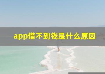 app借不到钱是什么原因