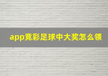 app竞彩足球中大奖怎么领