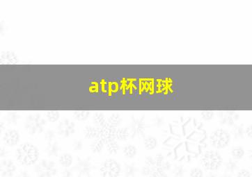 atp杯网球