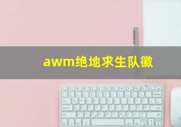 awm绝地求生队徽