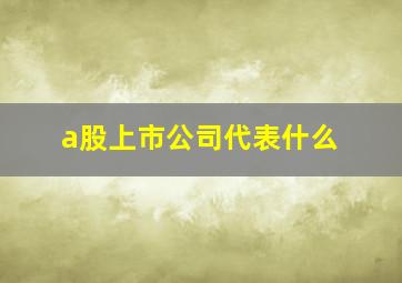 a股上市公司代表什么